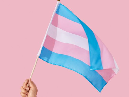 Pink white and blue transgender flag