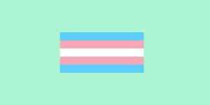 Transgender Equality flag in blue, pink white on mint background