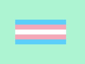 Transgender Equality flag in blue, pink white on mint background